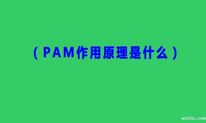 (PAM作用原理是什么) (PAM作用原理是什么)