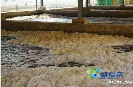 养殖场污水处理用什么药剂