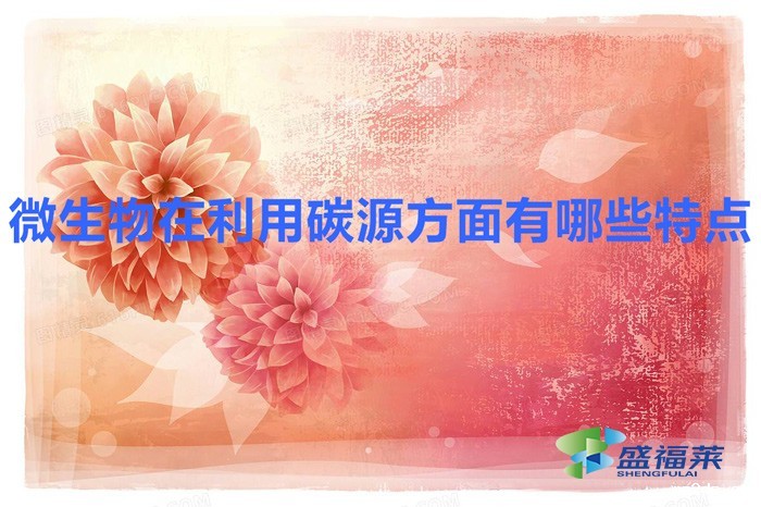微生物在利用碳源方面有哪些特点