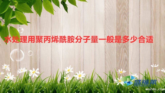 水处理用聚丙烯酰胺分子量一般是多少合适