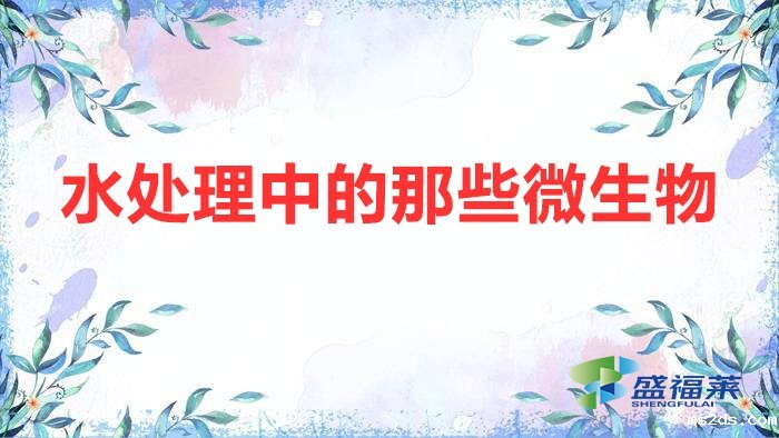 水处理中的那些微生物（污水处理中的微生物分类）