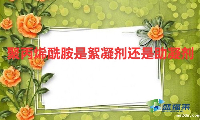 聚丙烯酰胺是絮凝剂还是助凝剂(聚丙烯酰胺是助凝剂吗)