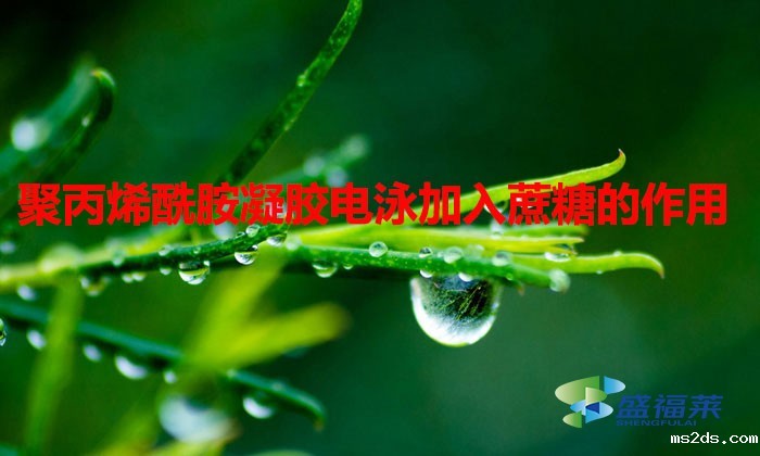 聚丙烯酰胺凝胶电泳加入蔗糖的作用（聚丙烯酰胺凝胶电泳加入蔗糖原理）