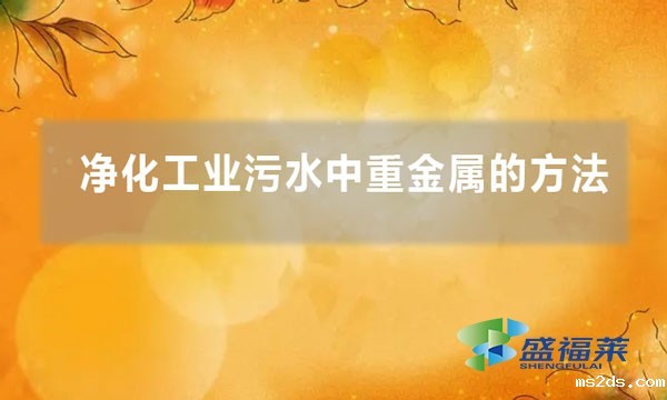 净化工业污水中重金属的方法(如何剥离污水中的重金属)