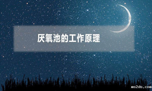 厌氧池的工作原理