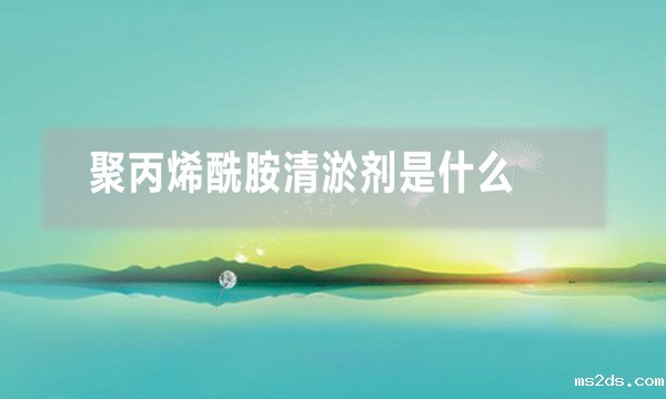 聚丙烯酰胺清淤剂是什么