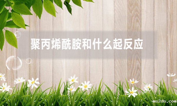 聚丙烯酰胺和什么起反应