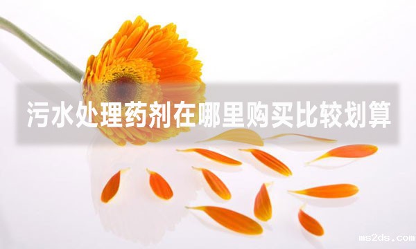 韦德国际bv1946在哪里购买比较划算