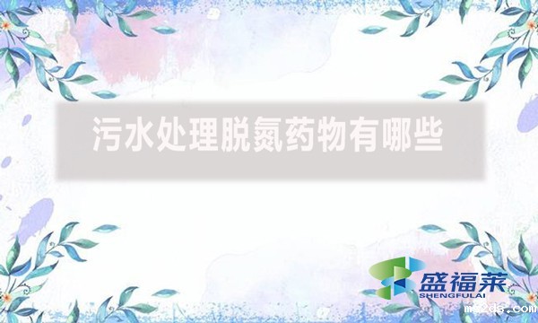 污水处理脱氮药物有哪些？