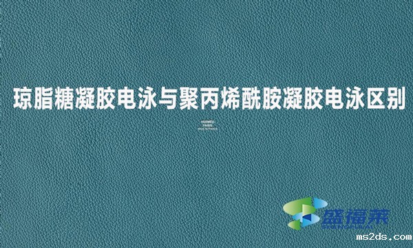 琼脂糖凝胶电泳与聚丙烯酰胺凝胶电泳区别?