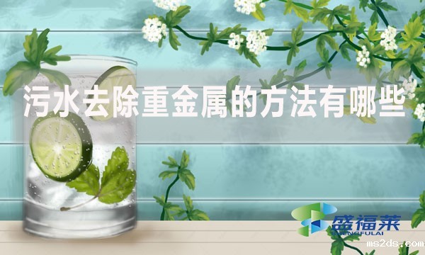 污水去除重金属的方法有哪些？