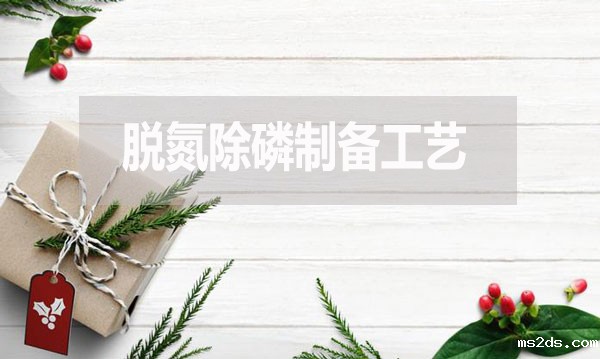 污水处理脱氮除磷制备工艺流程