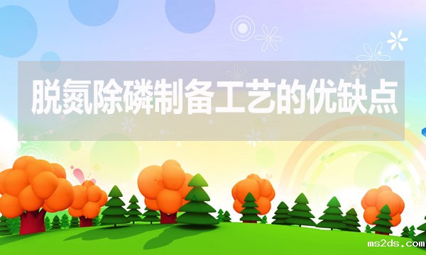 污水处理脱氮除磷制备工艺有哪些优点和缺点?