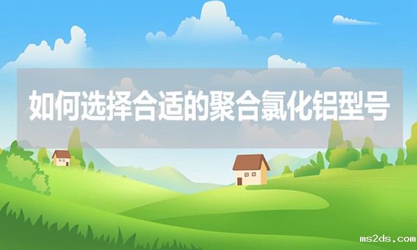 如何选择合适的聚合氯化铝型号?
