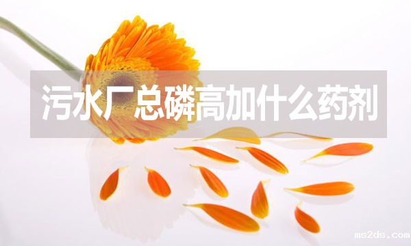 污水厂总磷高加什么药剂?