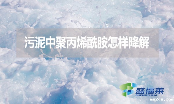 污泥中聚丙烯酰胺怎样降解