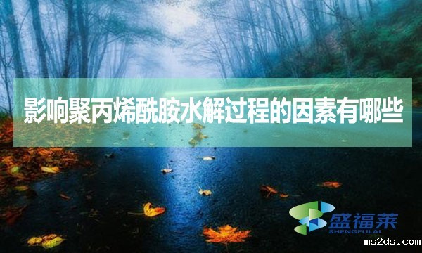 影响聚丙烯酰胺水解过程的因素有哪些？