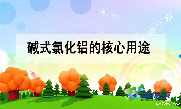 碱式氯化铝的核心用途与行业应用